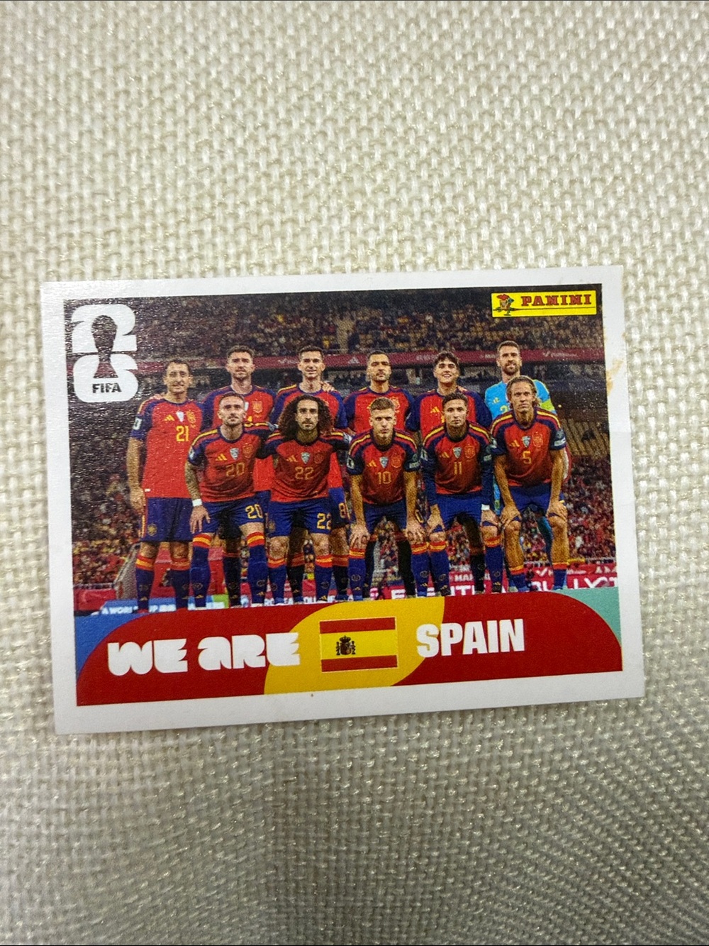 Panini FIFA Spain Team Sticker